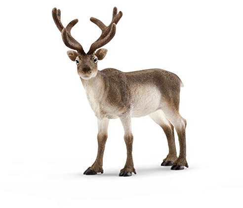 SCHLEICH WILD Life | Rentier 14837 | detailgetreue Tierfiguren | Zoo Spielzeug Jungen und Mädchen | Deko für Geburtstag | Spielfigur ab 3 Jahren | 13 x 6 x 12 cm