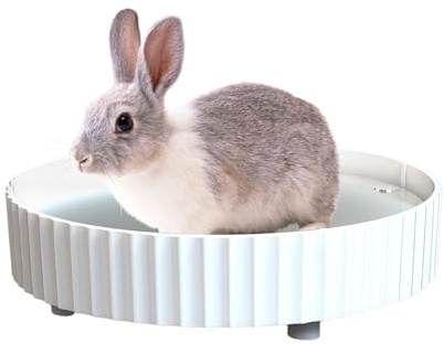 Tappetino Rinfrescante Per Conigli Piastra Dissipante in Lega di Alluminio | Tappetino Rinfrescante Estivo Per Animali Per Gabbia, Cuccioli, Caldo, Casa, Esterno, Trasportino, , , Anziani
