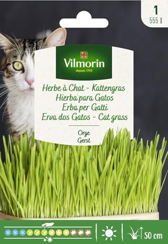 Kit 10 pz Semi Erba per Gatti