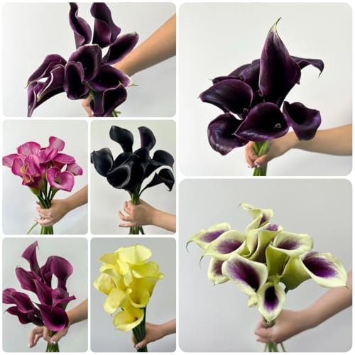 5 pcs calla zwiebeln winterhart, calla lilien zwiebeln blumenzwiebeln frühblüher, garten blumen calla pflanze winterhart knollen - Zantedeschia aethiopica - blumenzwiebeln kaufen,
