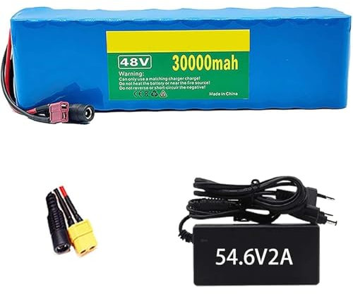 BDBLFLTZ 48V 30Ah E-Bike Akku für 1000W 750W 500W Elektrofahrrad Scooter Motor, E-Bike Lithium-Ionen Akku, Lectric Bike Battery Pack mit 54.6V 2A Ladegerät T