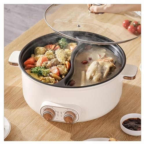 Appareil Fondue , Double Interrupteur de Commande Feu à Trois Vitesses Feu à Trois Vitesses Appareil Fondue Chinoise Electrique , IdéAl Pour Les RéUnions De Famille (avec 2 Filets Non éTanches) ,7.5L