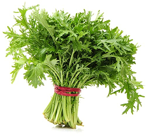 Mizuna (HEIRLOOM Japanese Mustard Greens) (10000 Seeds)