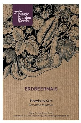 Mais fragola (Zea mays japonica)