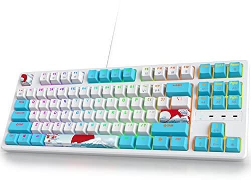 Ussixchare 75 Percent Mechanical Keyboard, 87 Keys RGB Backlit Gaming Keyboard, TKL Compact Wired Keyboard with Red Switches for Windows Laptop PC PS4 PS5 Xbox Gamer (87 Sea/Red Switch)