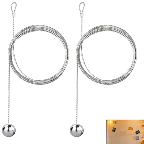 Fwobumy 2 pezzi Cavo Foto, Porta Foto, Filo Metallico Acciaio, Cavo Zincato per Appendere Foto Cartoline Disegni Memo Decorazione Casa Soggiorno Ufficio Camera Da Letto Corda Sospensione Argento