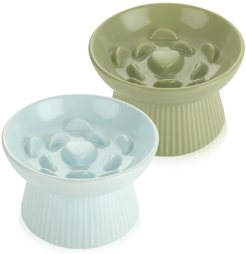 STARVAST 2 Pack Ceramic Slow Feeder Cat Bowl, Elevated