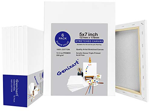 Genixart Vit tom sträckt duk, grundad professionell konstnärsduk för akryl och oljemålning (13 x 18 cm/6 x 5 tum x 7 tum)