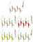 Storfisk fishing & more 5er Set Heringsvorfächer Heringspaternoster zum Meeresangeln auf Heringe, Größe:Set 1