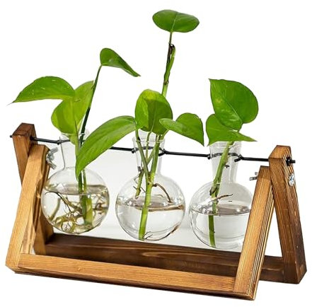 Clear Bloom® | 3 Vases Ampoule pour Plantes Immergées | Support en Bois Naturel | Flacon Pissette Inclus | Hydroponie | Déco Intérieur Zen Cadeau | Fleur ou Plante Hydroponique | OriginalCorner®