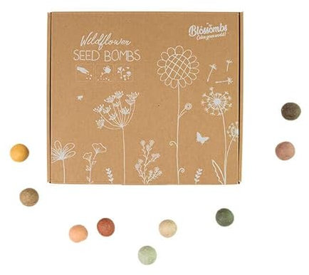 Blossombs Samenbomben - Geschenkverpackung Medium mit 9 Saatbomben - Blumen Geschenk für Bienen und Schmetterling Blumensamen