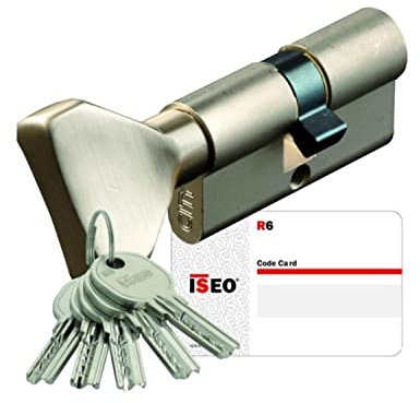 ISEO FRANCE SAS (CAVERS) CYL30960 Cylindre à Bouton 30x40 LN ISEO ISR6 MV AGL004680-885930409.8506