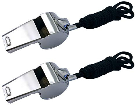 BEADNOVA Stainless Steel Whistles with Lanyard Lifeguard Whistle Referee Whistle Metal Whistle Sports Whistle Coaches Whistle (2 Pack, Silver)