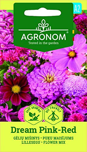 AGRONOM | DREAM MEZCLA DE FLORES ROSAS-ROJAS a partir de semillas | Semillas de flores | 1 paquete