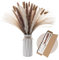 Wemk Erba Della Pampas Decorative con Vaso Incluso, 44 Pezzi Set di pampa Naturale bianche e marroni, erbe di canna, code di coniglio, Decorativi per Matrimoni, Feste, Boho Decor