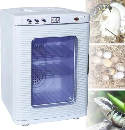 Reptilinkubator, uppvärmning 5–60 °C, endast värme, omgivningstemperaturintervall, idealisk för små reptiler, pålitlig ägginkubator för optimala kläckningsförhållanden