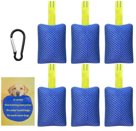 Équipement d'entraînement à l'agilité canine Set Interactif Apprentissage | Kit d'entraînement au travail d'odorat pour chien Pour chiot intérieur plage piscine arrière-cour extérieur cour