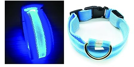 PARENCE - Collier Lumineux pour Chien Taille M, 3 Modes d'Eclairage/Collier LED pour Animaux avec Boucle d'attache et Fermeture à Clipser - 47 cm, Bleu