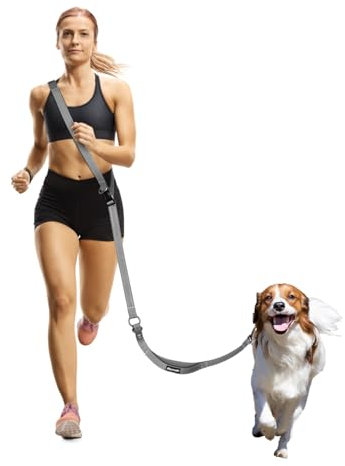 WANFIRE Freihandleinen Hundeleine, Crossbody-Hundeleine für mittelgroße Hunde,1,6–2,4 m Hüftgurt mit mit Anschnallgurt Hund Auto und doppelseitigem Reflektorband, Joggen, Wandern, Reisen usw. Grau