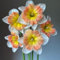 Bulbi Di Narciso: Perenni, Profumati, Resistenti, Resistenti | Fiori Magnifici - Crea Fiori Straordinari-12 bulbi-A