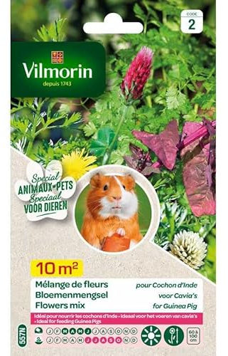 Vilmorin - Sachet de graines Mélanges de Fleurs pour Cochon d'Inde 10m²