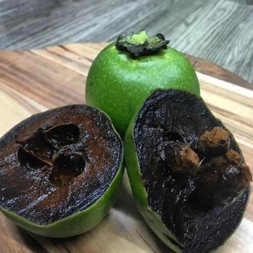 Semi di cachi - per gli amanti del giardino semi di serre da balcone da frutto frutto colonnare colonnari giardino roccioso raro nani, 30pcs