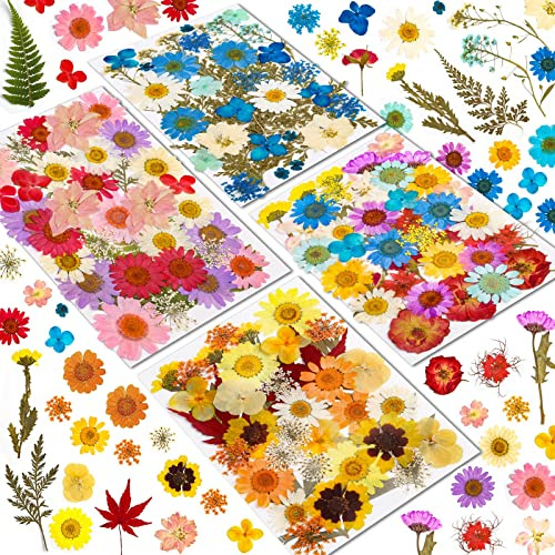 Real Dried Pressed Flowers for Resin, Natural Dry Flowers Leaves Bulk Herbs Kit for DIY Scrapbooking Stamping Supplies Epoxy Resin Jewelry Molds Candle Soap Making Nails Décor Art Crafts