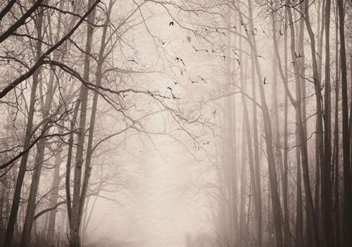 Wesmilewallpapaer Fototapete 3D Tapete 430x300cm Vintage Art Forest Wohnzimmer Schlafzimmer Vliestapete Wandbelag Wanddeko