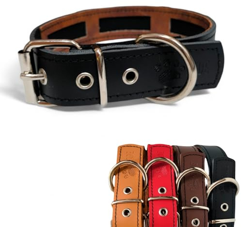 Collare Regolabile Cani Pelle Protezione Anti Pulci Zecche Accessorio Animali Domestici Fibbia Metallo Passeggiate Sicure Comfort Eleganza Stile Durabilità Leggerezza Design Premium (N,S) Nero