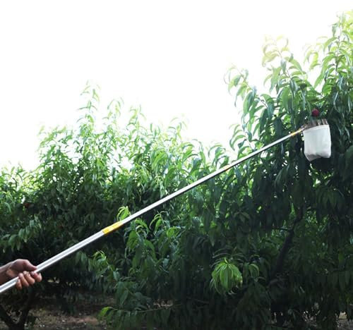 Fruit Picker/ Picking Tool With Extendable Pole, Sturdy Stainless Steel Fruit Gatherer Stick for Large Size Fruits - Lemon Pear Mango Limes Nectarines Plums, Tall Trees Apple Harvester Collection(2.5M