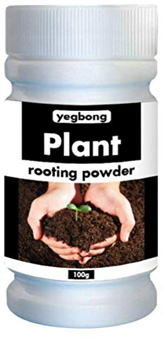 YueWan Snabbt Rotande Pulver Växt Blomma - Snabb Rotande Pulver Rötningshormon Förening, Snabb Tillväxt Transplantation Gödselmedel för att Förbättra Blomning Skärning Överlevnad Trädgårdstillbehör