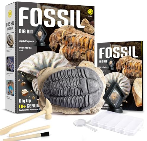 Byncceh Kit de Excavación de Fósiles para Niños – 12 Fósiles Auténticos con Guía Ilustrada a Color | Juego de Excavación Educativo Stem para Niños a Partir de 6 Años