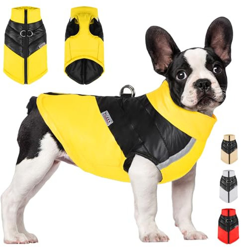 YOUYIKE Hundemantel für Hunde, Hundekleidung, Hundemantel Wasserdicht Hundejacke Winter Warme Jacke für Kleine Mittelgroße Hunde Hundebekleidung Warm Haustier Kleidung für Kaltes Wetter (Gelb, M)