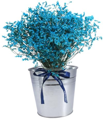 CIYODO 3 pièces Seau Galvanisé Vintage Pots à Fleurs Rétro Décoratifs pour Plantes Bureau et Mariage Finition Argentée