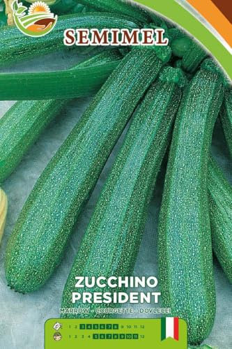 Zucchino President F1 - Semi di Zucchino Verde Scuro Cilindrico, Frutto Costoluto da 18-20 cm, Ciclo Precoce, Semina da Febbraio a Luglio 3 confezioni