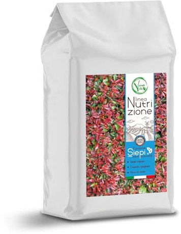 VerdeVita Concime Nutrizione per Siepi e Sempreverdi, Alta Concentrazione di Azoto, Verde Intenso, Made in Italy, 5kg