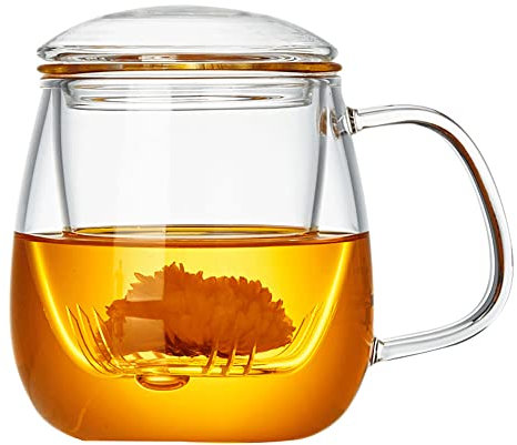Shylve Glass Tea Infuser Cup With Strainer and Lid, 550 ml/18.6oz Mug Clear Teacup for Loose Leaf, Easy to Clean, Heat Resistant