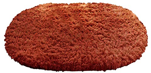 Badezimmermatte Luxus 40 X 60 Badteppich Extra Weich und Saugfähig Kurzflor Teppich Mikrofaser rutschfest Zotteliger Badematte, Einfarbig Mode Badezimmerteppich (Coffee, One Size)