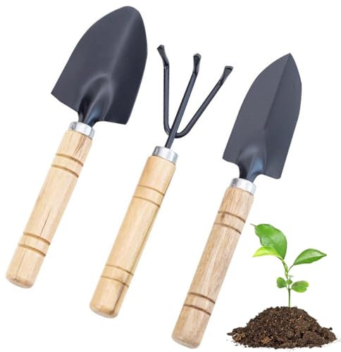 FDCGAS Kit jardineria - 3PCS Herramientas jardineria,Mini Herramientas de Jardín Palas Rastrillos Tenedor Mango de Madera Mini Jardín Planta Herramienta Kit Cuidado de Jardín