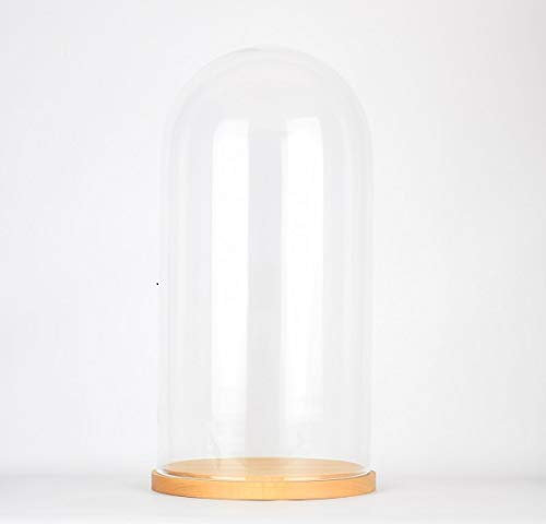 EMH Große Glasglocke mit Holzsockel, Höhe 41,5 cm