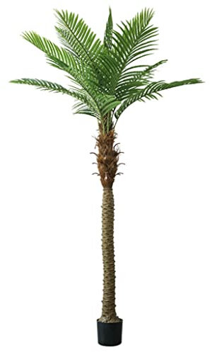 QHLOM Fake Plant Tall Fake Plants Large-scale Landing Decorate Coconut Tree, False Green Plants with Plastic Basin for Indoor and Outdoor Visual Focus (Color : 230cm/90.5in)