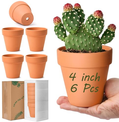 T4U 6pcs Pots de Fleurs Rouge Intérieur Extérieur 10 cm, Mini Pot en Terre Cuite de la Famille des Cactus pour Décoration Horticole Mariage, Maison, Jardin et Chambre