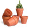 T4U 6pcs Pots de Fleurs Rouge Intérieur Extérieur 10 cm, Mini Pot en Terre Cuite de la Famille des Cactus pour Décoration Horticole Mariage, Maison, Jardin et Chambre