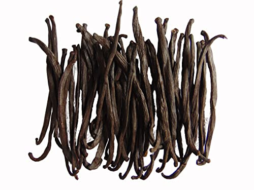 Royal Brand Gousse de vanille de qualité d'extraction de 27 à 66 pièces, 50 g, récolte fraîche, emballées sous vide, substitut des gousses de vanille Bourbon