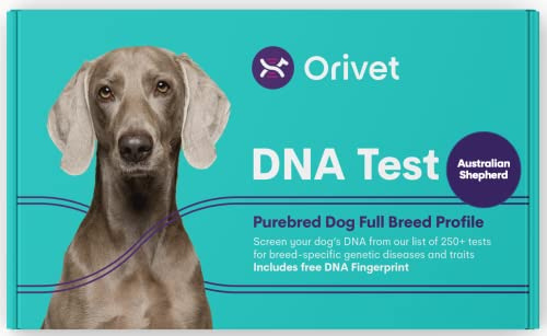 ORIVET Kit de Test ADN pour Chien - Berger Allemand - Profil Complet de Race | Test de Chiot Contre Plus de 250 Risques et Traits médicaux pour la santé | Empreintes génétiques
