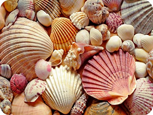 Pearl Glass Planche à découper en verre pour plan de travail 40 x 30 cm