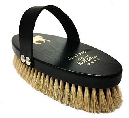 gws Pferdekardätsche Deluxe Kollektion Rosshaar & Bassine | Profi-Pferdebürste aus Buchenholz, Made in Germany