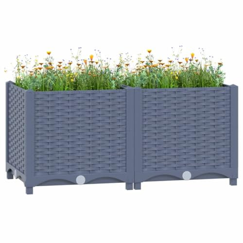 Baziroo Bac à fleurs extérieur - 80 x 40 x 38 cm - En polypropylène - Pour l'extérieur, balcons, parterres de fleurs, parterres de fleurs, parterre de fleurs, plate-bande de culture, parterre d'herbes