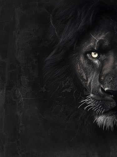STYLER Leinwandbild Black Lion 60 x 80 cm I Kraftvolles Schwarzer Löwe Porträt Schwarz-Weiß I Wandbild Wohnzimmer Schlafzimmer Büro I Moderne Tiermotiv Wanddeko auf Keilrahmen