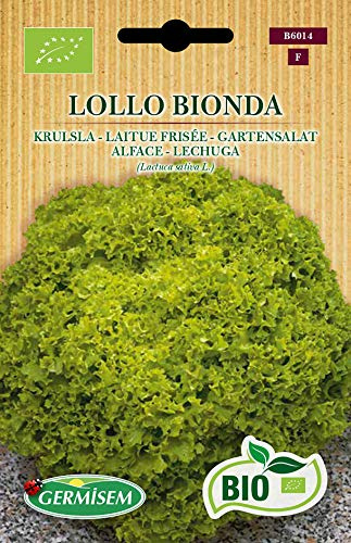 Germisem Biologico Lollo Bionda Semi di Insalata da Giardino 2 g